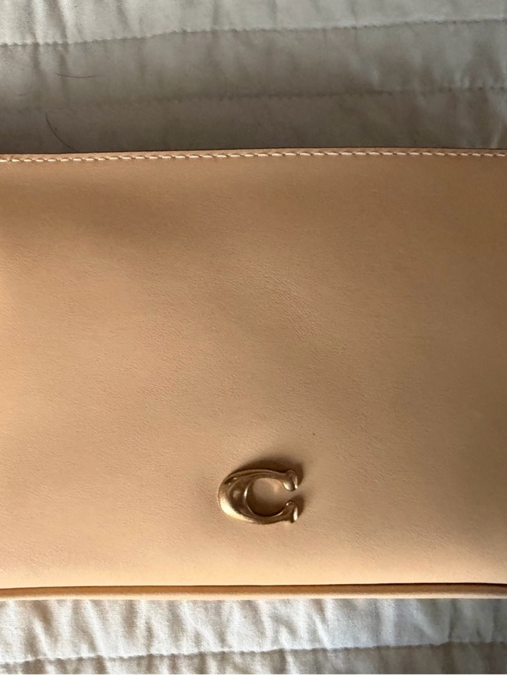 Coach Audrey Leather Crossbody in vanilla with Gold Hardware - Picture 3 of 9